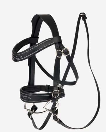 LeMieux  Hobby Horse Competition Bridle (Trense)