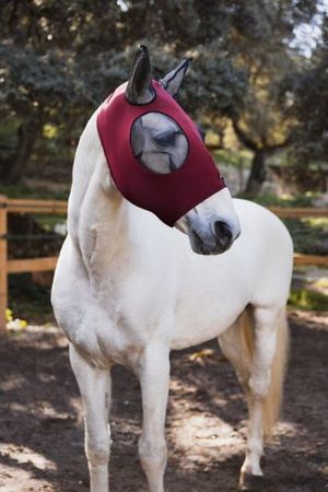 Horze Elastische Pull-On Fliegenmaske