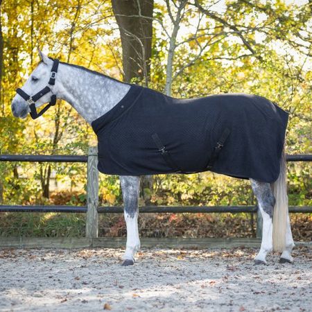QHP Showdecke Zahra