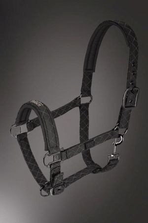 Eskadron Halfter  Platinum Arteco