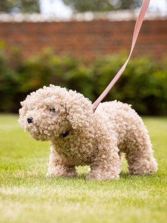 LeMieux Toy Dog Cockapoo Spielzeug