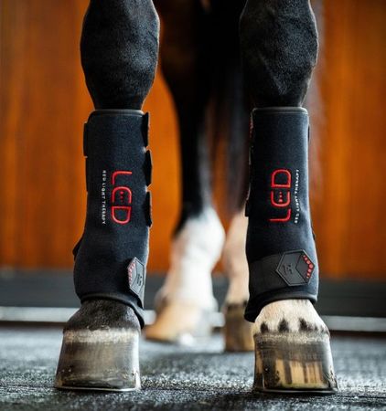 Horseware LED-Rotlicht-Therapie Gamasche links