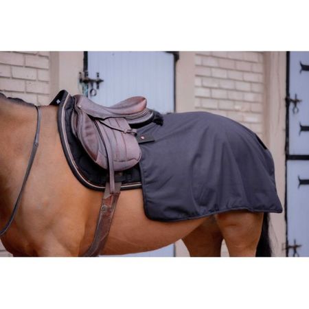 PADDOCK -Quarter Nierendecke -Classic Rain -