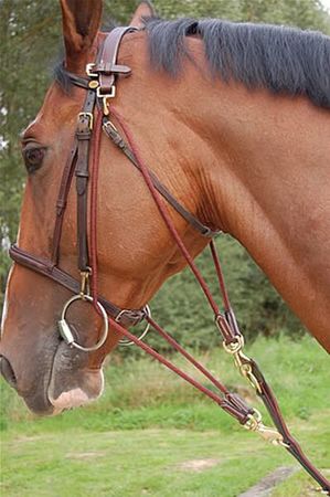 Gogue aus Leder und Seil