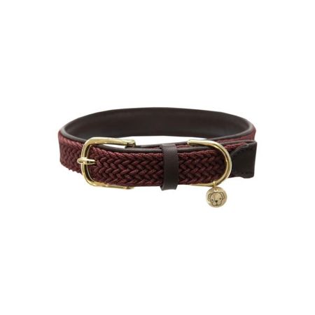 Geflochten Nylon Hundehalsband