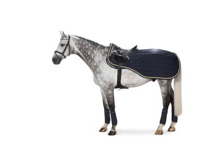 Exercise Sheet GLOSSY QUILTED (Heritage HW19)