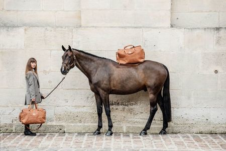 Grooming Deluxe Chestnut Reisetasche