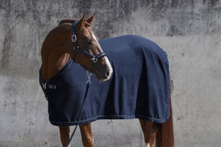 Eskadron Abschwitzdecke FLEECE STAMPED Platinum 22, Fleecedecke,  Transportdecke