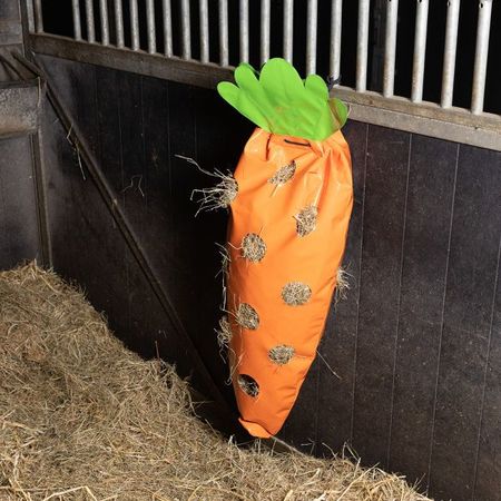 Heutasche IRHCarrot