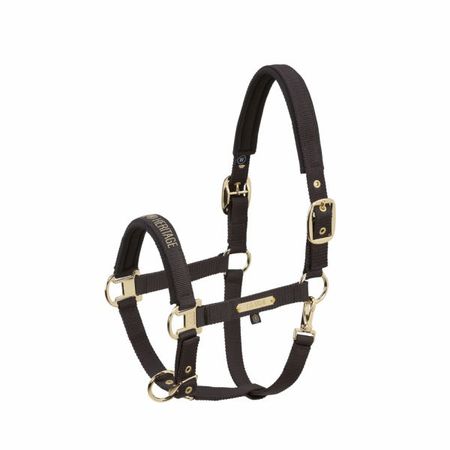 Eskadron Halfter GIRTH DOUBLE PIN Heritage 25/26