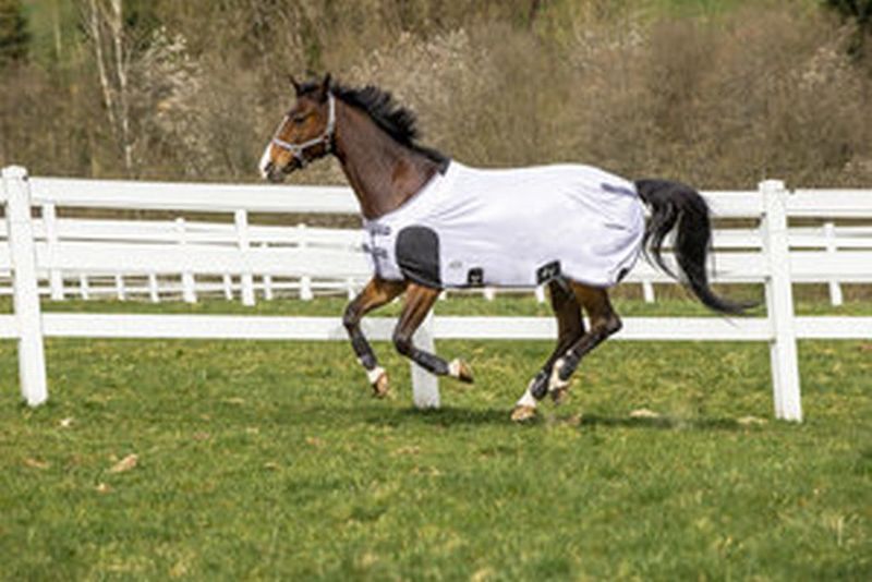 EQUI-THÈME Netzdecke Sursangles renforcées