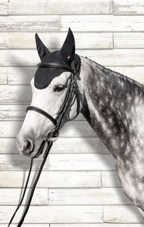 Equiline Fliegenohren Kim Personalizzato