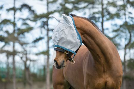 Amigo FlyMask, Fliegenmaske