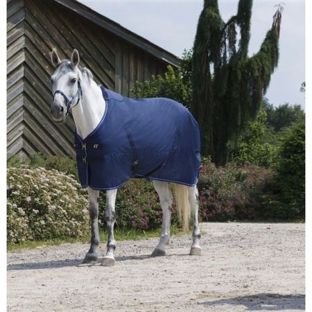 Equitheme Stalldecke 400 g