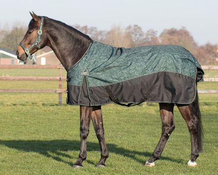 QHP Decke Turnout Collection 300 gr , Winterdecke, Weidedecke, Outdoordecke