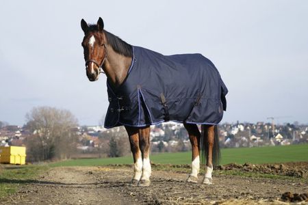 EQUITHÈME ,,Classic 1200D Outdoor Decke 50g, Regendecke, Übergangsdecke