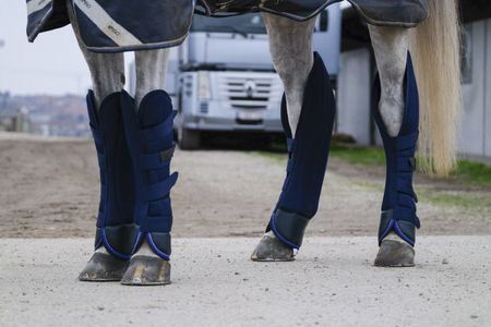 Eqiutheme  ,,Classic´´  Transportgamaschen