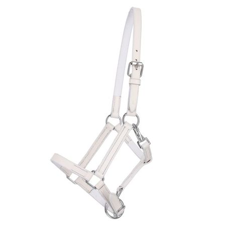 QHP Fohlen-Lederhalfter mit Clip, verstellbar