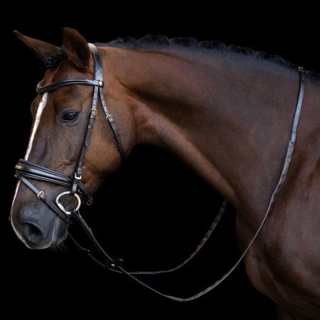 Zügel IRH Gummi mit Daumengriff von Imperial Riding