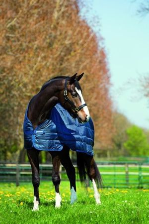 Horseware Liner 100g, Unterdecke