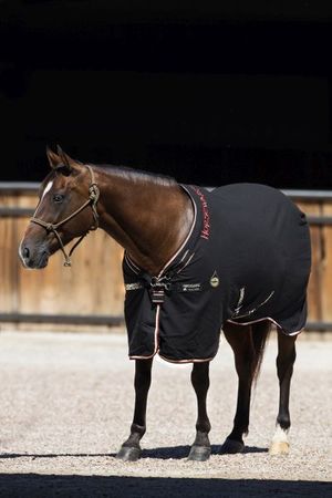 Horseware Rambo Helix Sheet