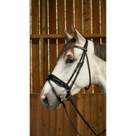 Dyon WC. Trense mit Schwedischem Lack Reithalfter