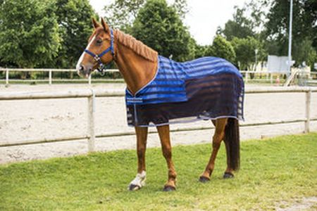 EQUI-THÈME Rafraichissante erfrischende Decke