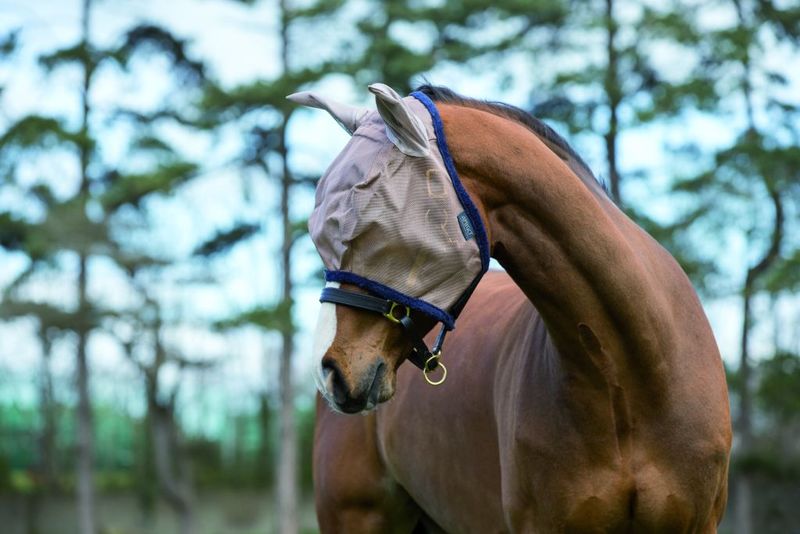 Amigo FlyMask