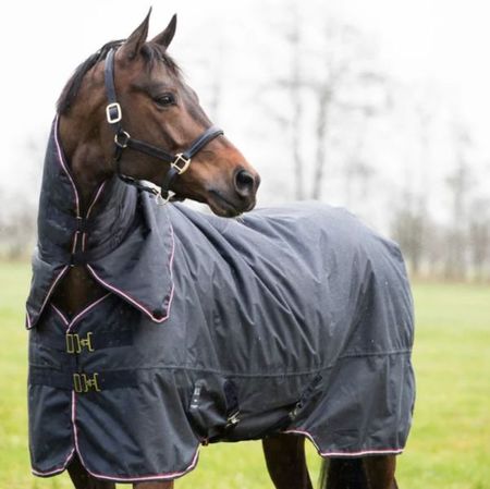 Kingsland Classic Weidedecke, abnehmb. Hals, 100g, Winterdecke, Outdoordecke, Turnoutdecke