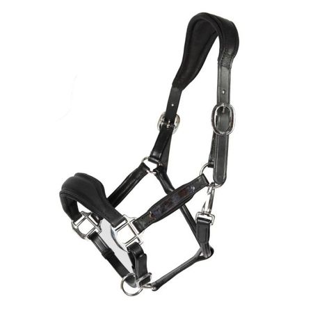 Halfter Radolfzell von Hans Melzer, Lederhalfter