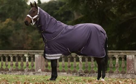 LeMieux Arika Ripstop Weidedecke 100g mit abnehmbarem Halsteil, Winterdecke