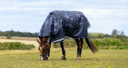 LeMieux Arika Star Weidedecke 100g mit abnehmbarem Halsteil, Winterdecke, Outdoordecke