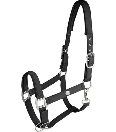 Waldhausen Halfter Trinidad