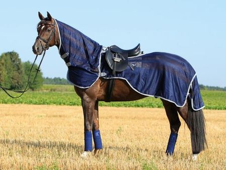 Busse Ausreitdecke FLEXI FLY