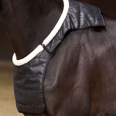 Brustschutz IRHSuper-dry