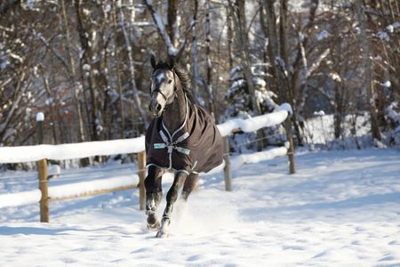 Amigo Bravo 12 Wug Medium 250g, Winterdecke, Weidedecke, Outdoordecke