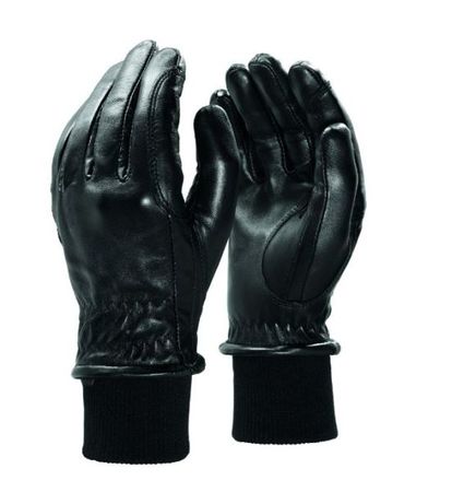 Ariat Insulated Pro Grip Leather, Winterreithandschuhe, Reithandschuhe