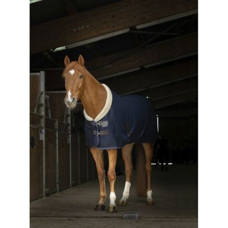 Equitheme Teddy Mesh Decke, Abschwitzdecke, Pferdedecke