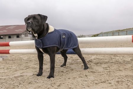 Diego & Louna Hunde-Fleecemantel TEDDY