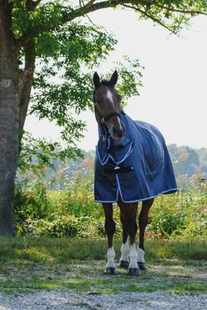 RIDING WORLD Combo-Regendecke