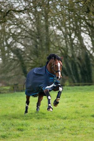 Amigo Bravo-12 Tournout 100g, Weidedecke, Winterdecke, Outdoordecke