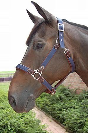 Marineblaues Nylonhalfter mit Leder