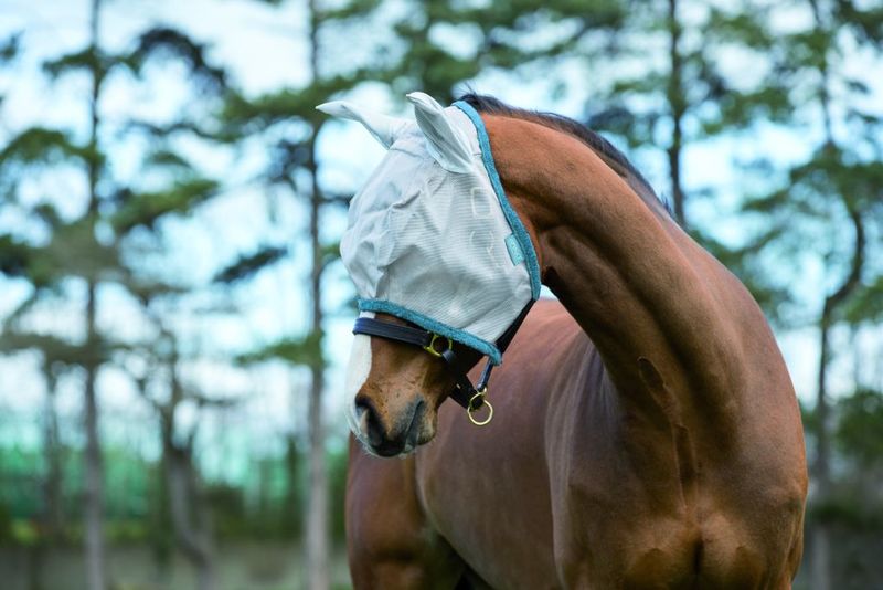 Amigo FlyMask