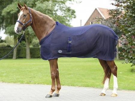 Busse SUMMER-FLY II  Abschwitzdecke, Fliegendecke, Pferdedecke