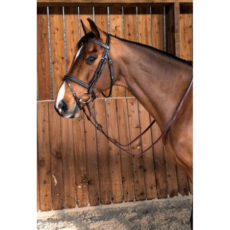 Dyon WC. Trense mit kombiniertem  Reithalfter