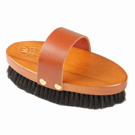 HW Kardätsche  Naturborsten