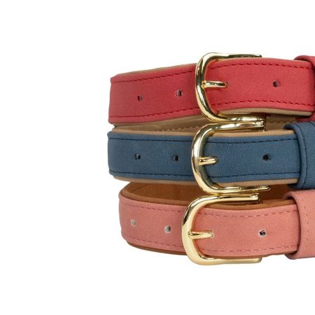 Kentucky Hunde Halsband vegan Leder