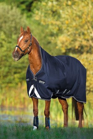 Amigo Bravo 12 Wug 150g, Winterdecke, Weidedecke, Outdoordecke