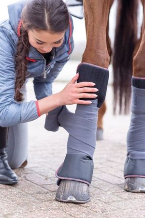 Eskadron Bandagenunterlagen Climalegs (Paar), Bandagenkissen, Bandagierkissen