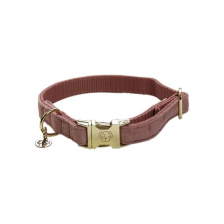 Kentucky Hundehalsband Velvet